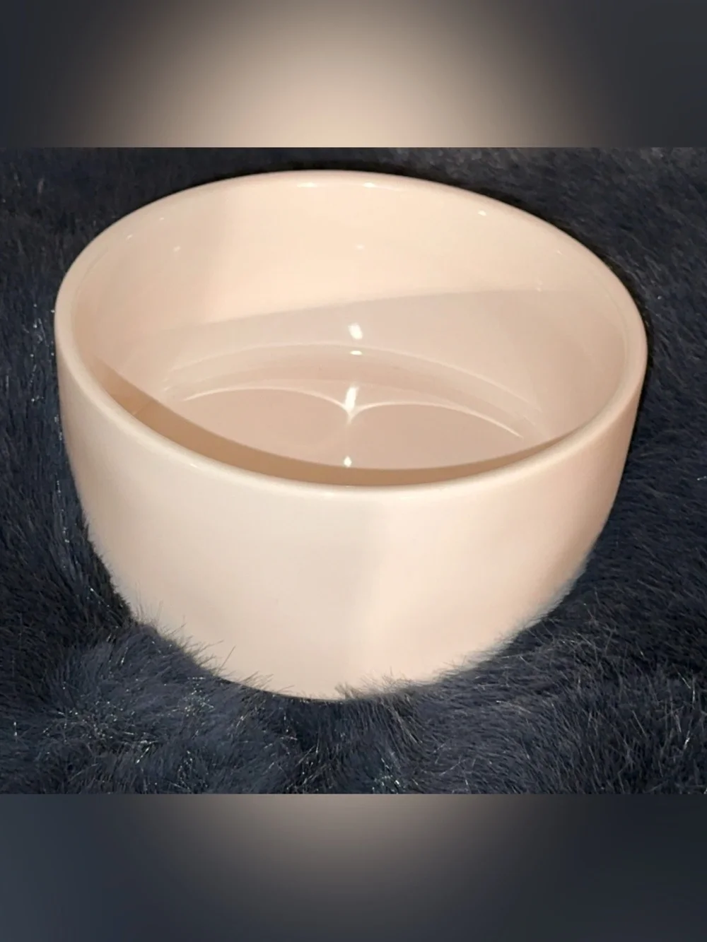 Rae Dunn 6” White Ceramic Round Pet/Dog ‘YORKIE’ Food Water Bowl Dish VHTF
